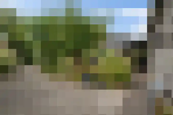 Kijdykje 9 Holwert thumbnail 26