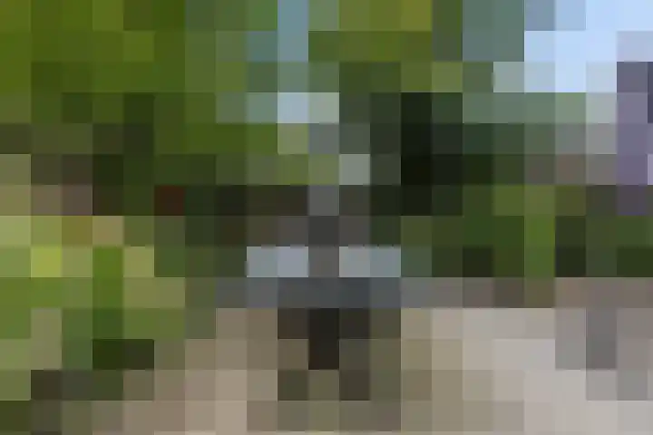 Kijdykje 9 Holwert thumbnail 28