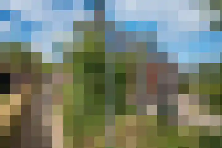 Kijdykje 9 Holwert thumbnail 31