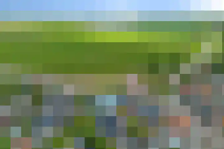 Kijdykje 9 Holwert thumbnail 33