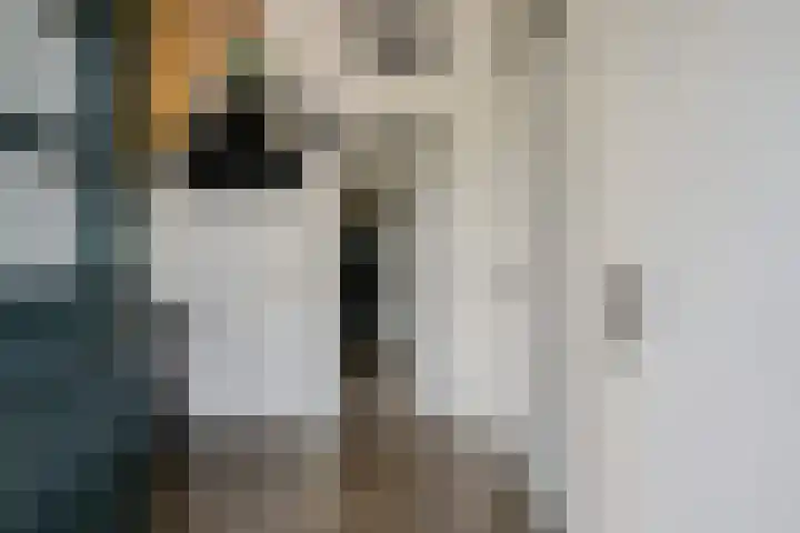 Kijdykje 9 Holwert thumbnail 5