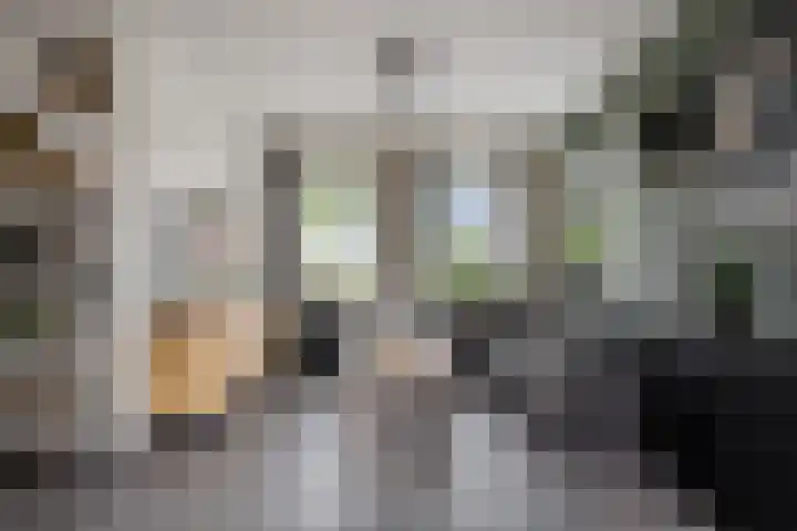 Kijdykje 9 Holwert thumbnail 8