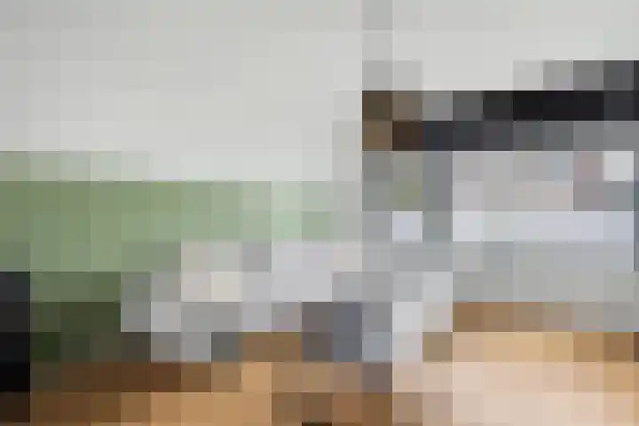 Kijffhoeck 39 Oud-Beijerland thumbnail 13