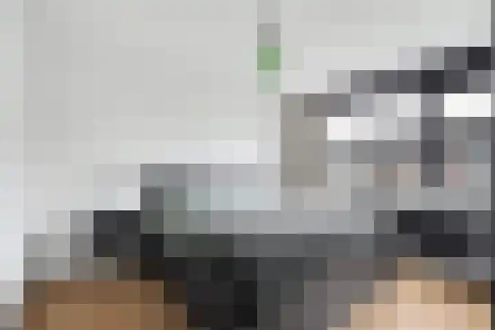 Kijffhoeck 39 Oud-Beijerland thumbnail 19