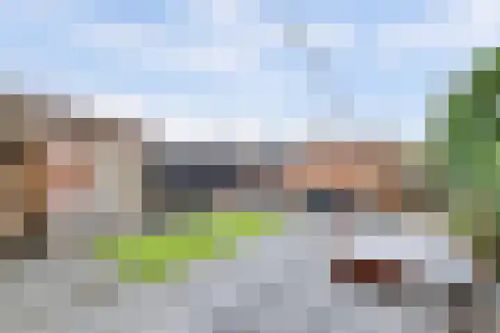 Kijffhoeck 39 Oud-Beijerland thumbnail 36
