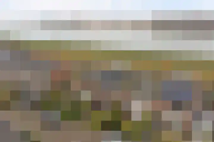 Kijffhoeck 39 Oud-Beijerland thumbnail 42