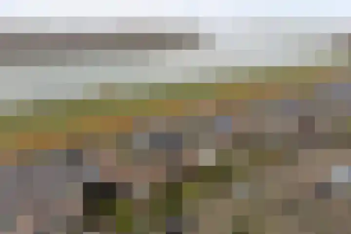 Kijffhoeck 39 Oud-Beijerland thumbnail 43