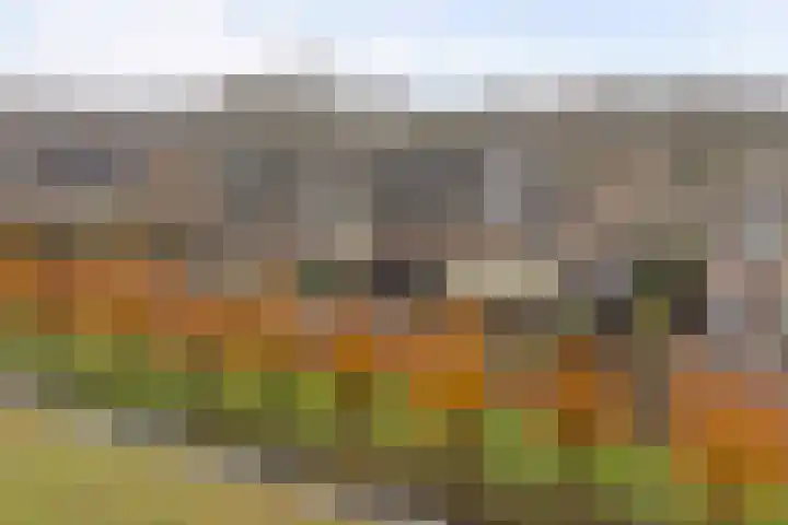 Kijffhoeck 39 Oud-Beijerland thumbnail 44