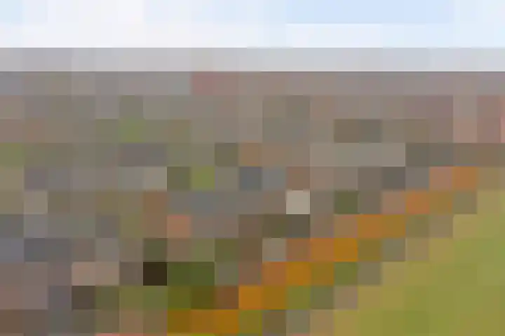 Kijffhoeck 39 Oud-Beijerland thumbnail 45