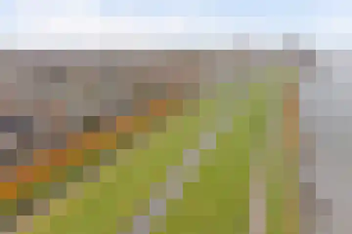 Kijffhoeck 39 Oud-Beijerland thumbnail 46
