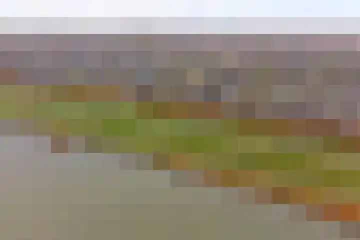 Kijffhoeck 39 Oud-Beijerland thumbnail 47