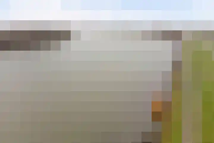 Kijffhoeck 39 Oud-Beijerland thumbnail 48