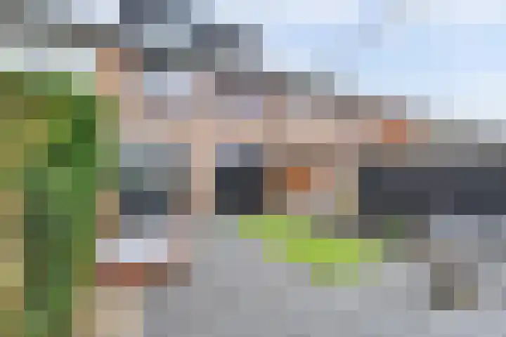 Kijffhoeck 39 Oud-Beijerland thumbnail 6