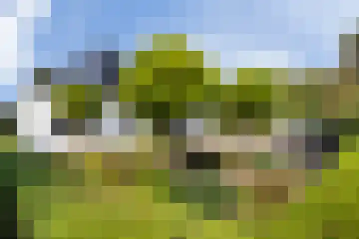Kijfhoek 32 Zwijndrecht thumbnail 11