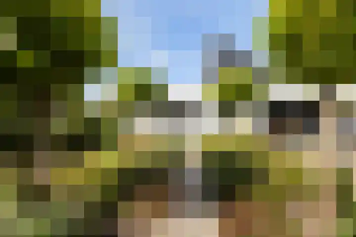 Kijfhoek 32 Zwijndrecht thumbnail 12