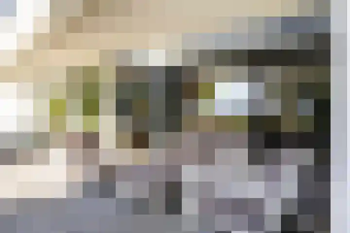 Kijfhoek 32 Zwijndrecht thumbnail 20