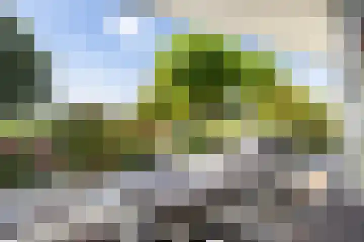 Kijfhoek 32 Zwijndrecht thumbnail 22