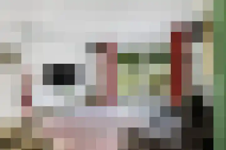Kijfhoek 32 Zwijndrecht thumbnail 29