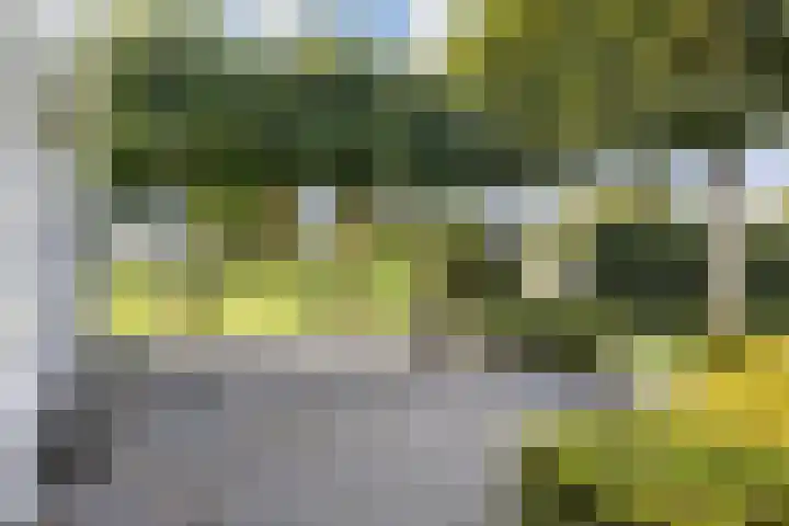 Kijfhoek 32 Zwijndrecht thumbnail 30