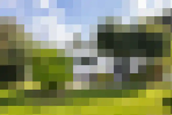 Kijfhoek 32 Zwijndrecht thumbnail 31