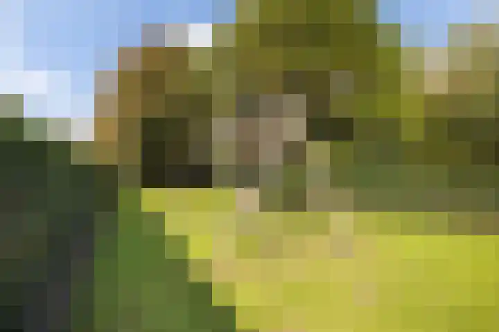 Kijfhoek 32 Zwijndrecht thumbnail 32