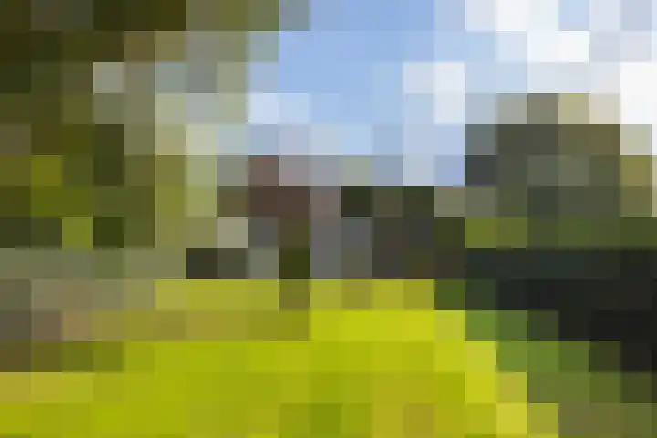 Kijfhoek 32 Zwijndrecht thumbnail 33