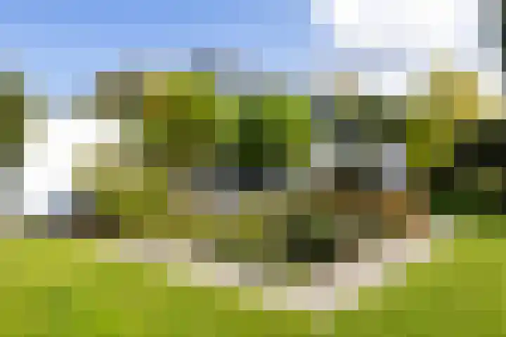 Kijfhoek 32 Zwijndrecht thumbnail 49
