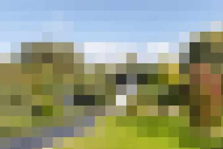 Kijfhoek 32 Zwijndrecht thumbnail 50