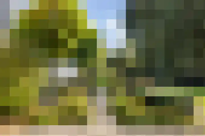 Kijfhoek 32 Zwijndrecht thumbnail 52
