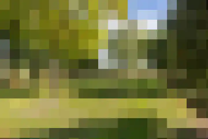 Kijfhoek 32 Zwijndrecht thumbnail 53