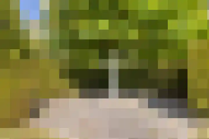 Kijfhoek 32 Zwijndrecht thumbnail 56