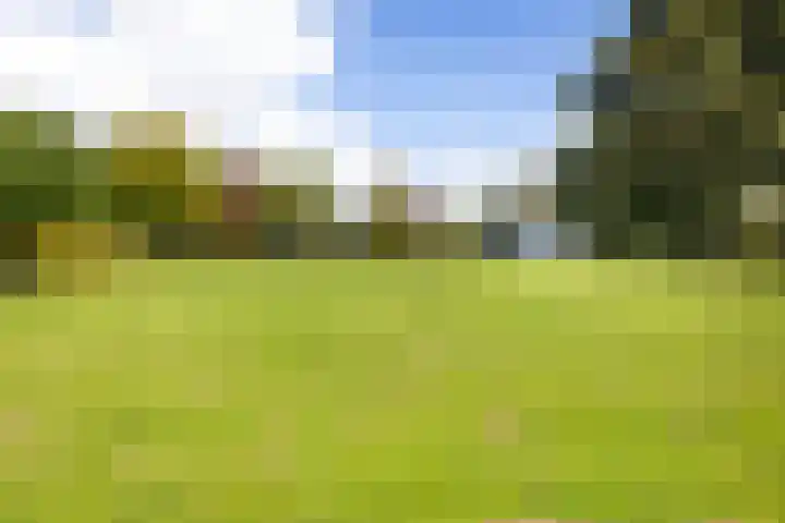 Kijfhoek 32 Zwijndrecht thumbnail 58