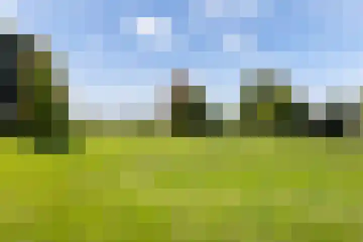 Kijfhoek 32 Zwijndrecht thumbnail 59