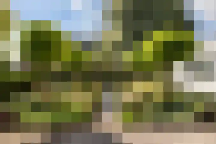 Kijfhoek 32 Zwijndrecht thumbnail 6