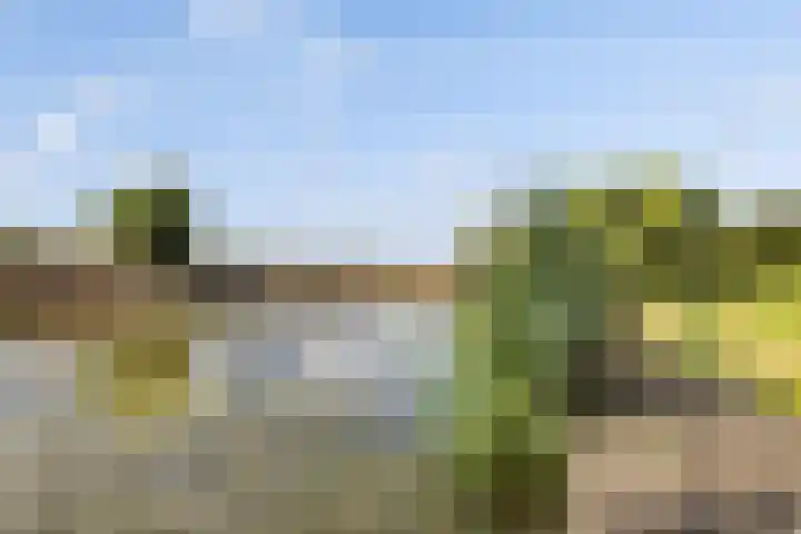 Kijfhoek 32 Zwijndrecht thumbnail 60