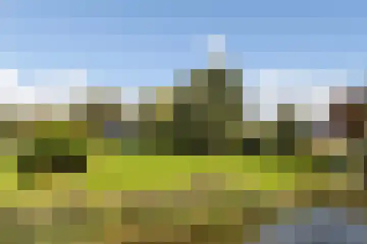 Kijfhoek 32 Zwijndrecht thumbnail 61
