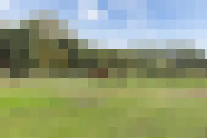 Kijfhoek 32 Zwijndrecht thumbnail 62