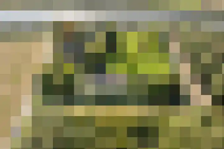 Kijfhoek 32 Zwijndrecht thumbnail 63