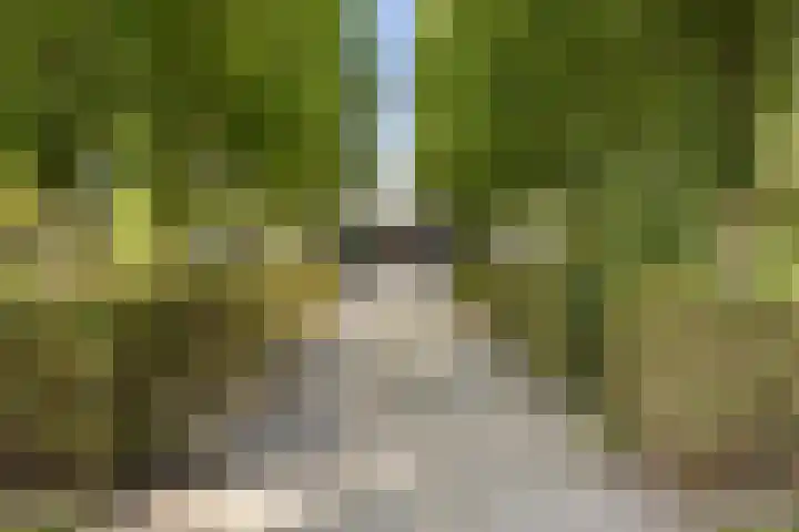 Kijfhoek 32 Zwijndrecht thumbnail 8