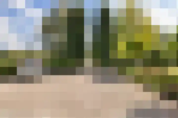 Kijfhoek 32 Zwijndrecht thumbnail 9