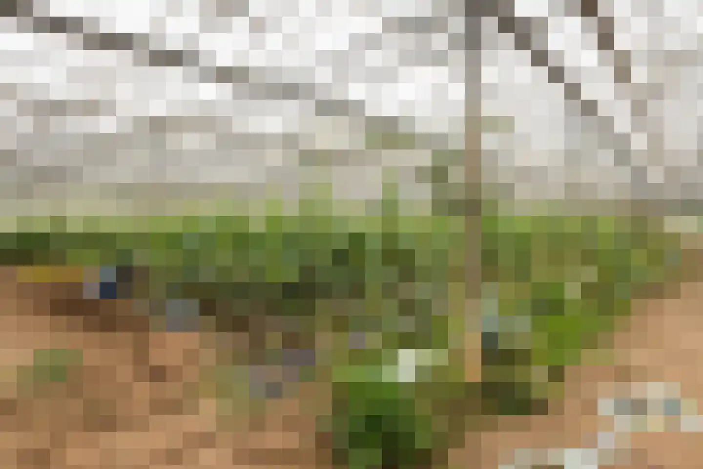 Kijfhoek 41 Zwijndrecht thumbnail 35