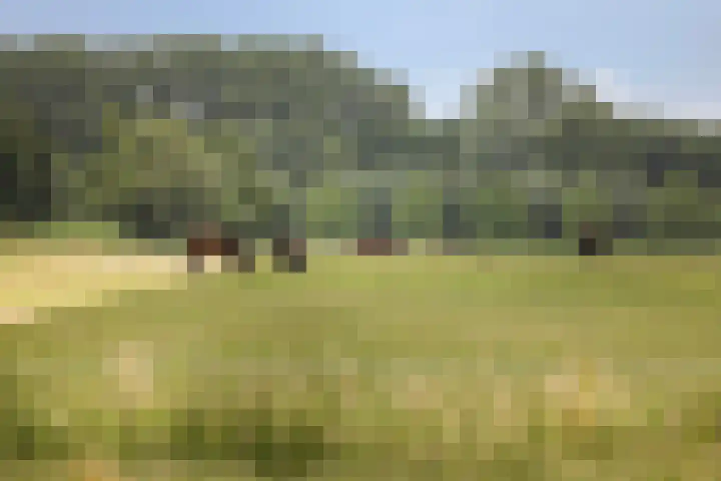 Kijfhoek 41 Zwijndrecht thumbnail 5