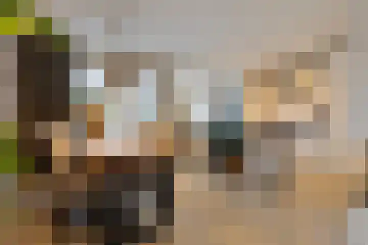 Kijftenbeltlaan 20 Hoevelaken thumbnail 10