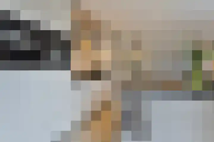 Kijftenbeltlaan 20 Hoevelaken thumbnail 15