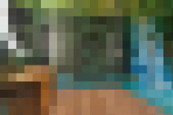 Kijftenbeltlaan 20 Hoevelaken thumbnail 19