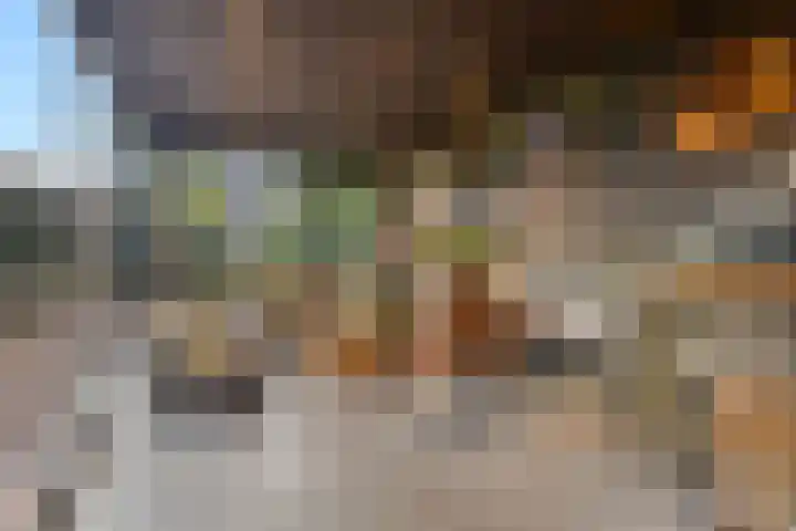 Kijftenbeltlaan 20 Hoevelaken thumbnail 21