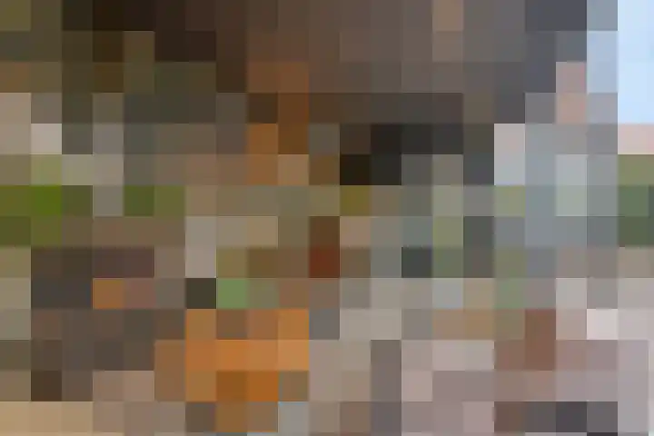 Kijftenbeltlaan 20 Hoevelaken thumbnail 22