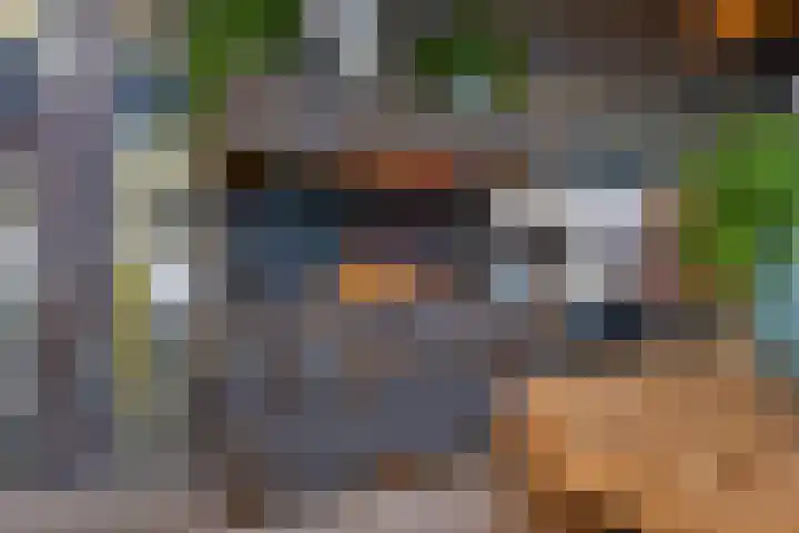 Kijftenbeltlaan 20 Hoevelaken thumbnail 23