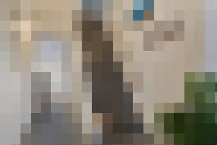 Kijftenbeltlaan 20 Hoevelaken thumbnail 24