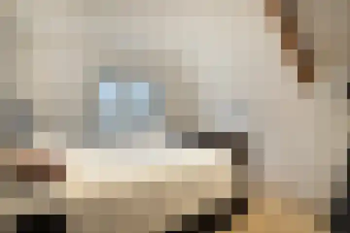 Kijftenbeltlaan 20 Hoevelaken thumbnail 26